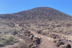 Rezervația naturală specială Montaña Roja, Tenerife 15