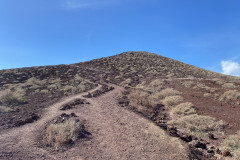 Rezervația naturală specială Montaña Roja, Tenerife 16