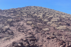 Rezervația naturală specială Montaña Roja, Tenerife 18