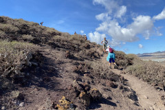 Rezervația naturală specială Montaña Roja, Tenerife 27
