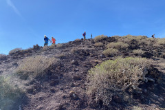 Rezervația naturală specială Montaña Roja, Tenerife 28