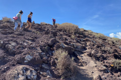 Rezervația naturală specială Montaña Roja, Tenerife 37