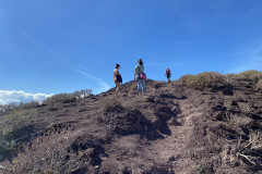 Rezervația naturală specială Montaña Roja, Tenerife 40