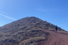 Rezervația naturală specială Montaña Roja, Tenerife 49