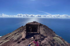 Rezervația naturală specială Montaña Roja, Tenerife 60