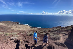 Rezervația naturală specială Montaña Roja, Tenerife 62