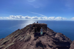 Rezervația naturală specială Montaña Roja, Tenerife 72