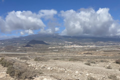 Rezervația naturală specială Montaña Roja, Tenerife 85