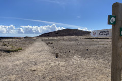 Rezervația naturală specială Montaña Roja, Tenerife 87