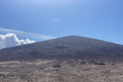 Rezervația naturală specială Montaña Roja, Tenerife 90