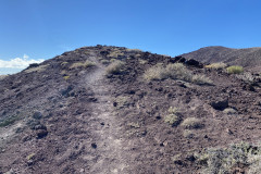 Rezervația naturală specială Montaña Roja, Tenerife 97
