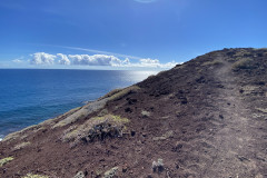 Rezervația naturală specială Montaña Roja, Tenerife 98