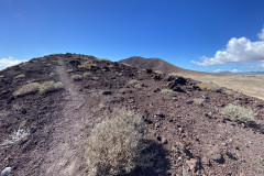Rezervația naturală specială Montaña Roja, Tenerife 99