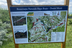 Rezervația Râpa Roșie - Dealul Morii 26