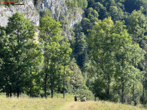 Rezervația Vânătările Ponorului 07