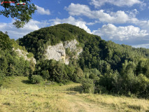 Rezervația Vânătările Ponorului 90