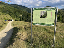 Rezervația Vânătările Ponorului 93