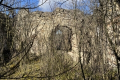 Ruinele Castelului Bocskai 40
