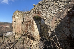 Ruinele Castelului Bocskai 50
