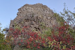 Ruinele Cetatii Liteni 41