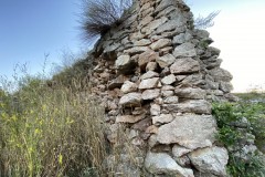 Ruinele Cetatii Liteni 45