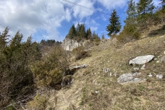 Ruinele Cetatii Oratia 15