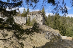 Ruinele Cetatii Oratia 29