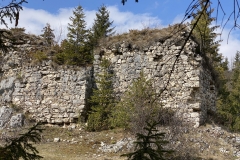 Ruinele Cetatii Oratia 33