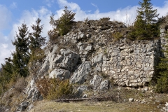 Ruinele Cetatii Oratia 35