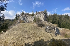 Ruinele Cetatii Oratia 36