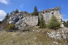 Ruinele Cetatii Oratia 38