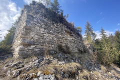 Ruinele Cetatii Oratia 41