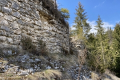 Ruinele Cetatii Oratia 42