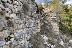 Ruinele Cetatii Oratia 43