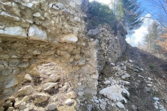 Ruinele Cetatii Oratia 48