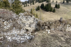 Ruinele Cetatii Oratia 54