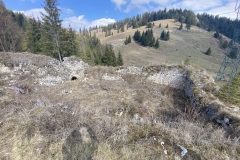 Ruinele Cetatii Oratia 57