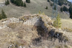Ruinele Cetatii Oratia 60