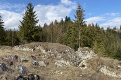 Ruinele Cetatii Oratia 63