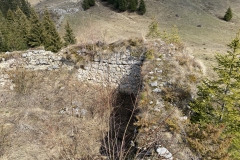 Ruinele Cetatii Oratia 64