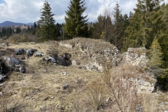 Ruinele Cetatii Oratia 66