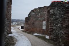 Ruinele Felix Romuliana 25