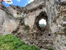 Ruinele Palatul Cnejilor 15