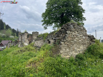 Ruinele Palatul Cnejilor 64