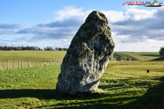 Stonehenge, Anglia 81