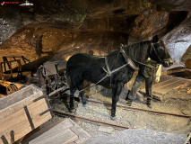 Salina din Wieliczka 44