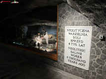 Salina din Wieliczka 63