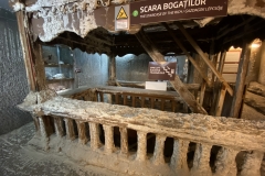 Salina Turda51