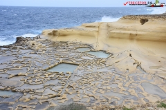 Saltpans Gozo, Malta 28