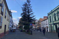 San Cristóbal de La Laguna, Tenerife 27